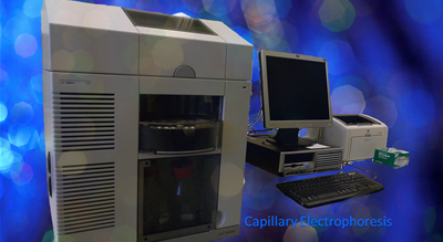 Capillary Electrophoresis